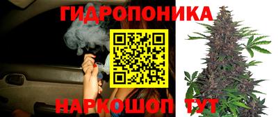 кокс Обнинск