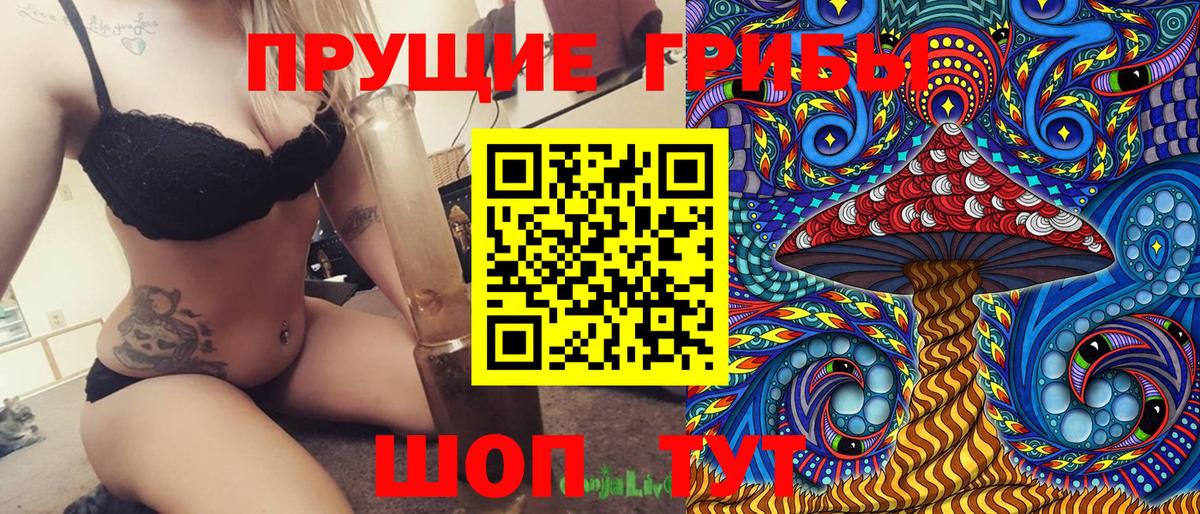 Петровск  Галлюциногенные грибы Magic Shrooms  где можно купить   Вход с VPN 